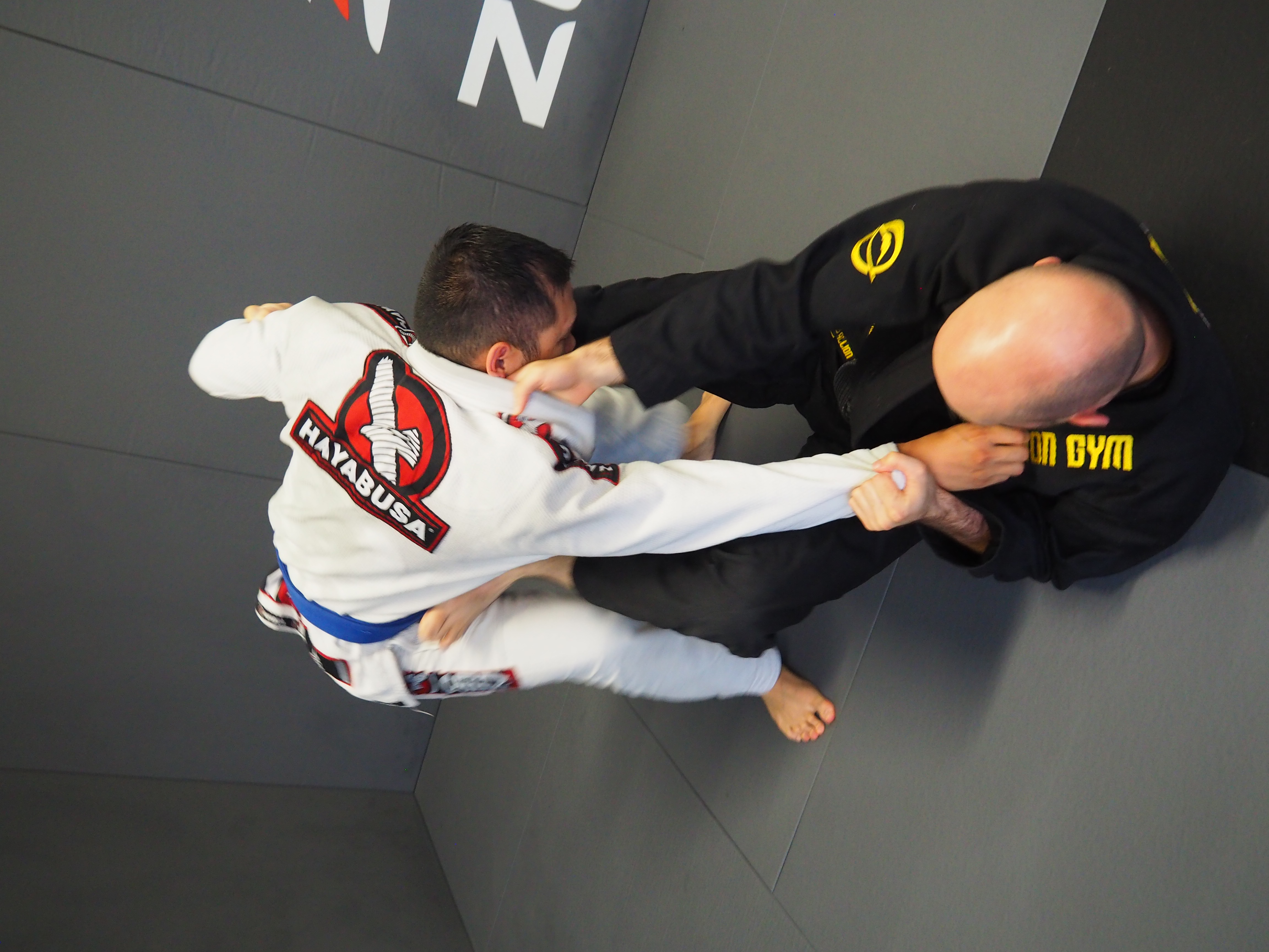 Gi BJJ Training im STALLION GYM Stuttgart