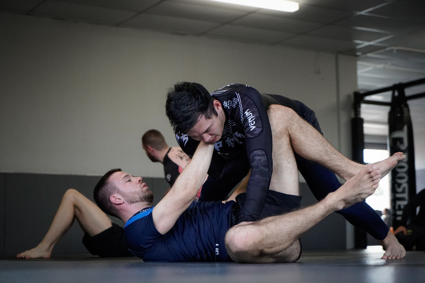 No-Gi BJJ Training im STALLION GYM Stuttgart